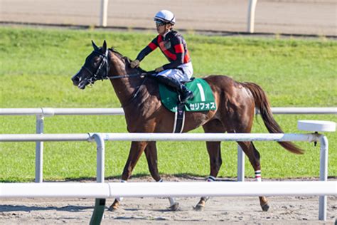 【ai予想回顧】新潟2歳sはセリフォス優勝で 的中！ キーンランドcの結果は？｜競馬×ai×データ分析【spaia競馬】