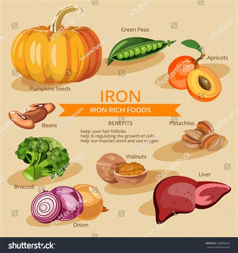 Vitamins Minerals Foods Illustration Vector Set Stock Vector Royalty