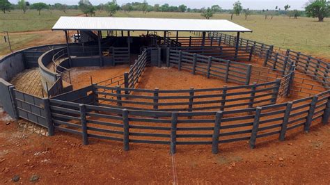 Importância do manejo racional de bovinos gera qualidade da carne e do