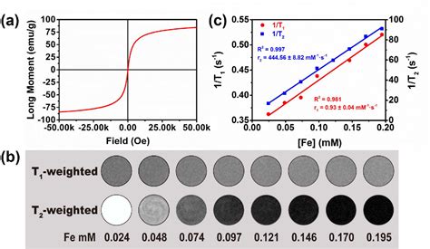 Figure 2 From Ultrasmall Superparamagnetic Iron Oxide Nanoparticle For