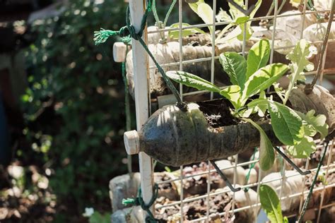 Huertas Verticales En Casa Con Materiales Reciclados Naturalmente