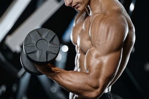 The 30 Best Biceps Exercises For Arm Workouts To Build Muscle Lupon