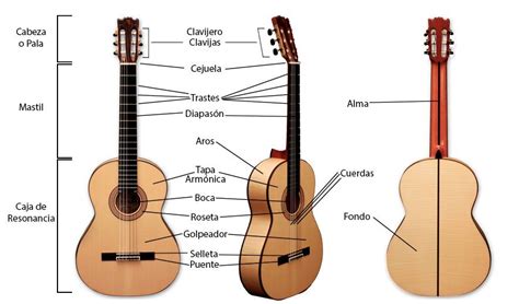 Partes De Una Guitarra Caracter Sticas Y Para Que Sirven