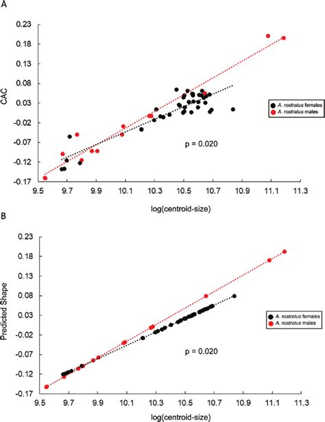 Allometric Trajectories For Male And Female Specimens Of Apteronotus