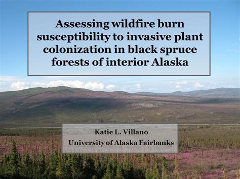 Assessing Wildfire Burn Susceptibility To Invasive Plant Colonization