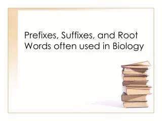 Ppt Root Words Prefixes And Suffixes Powerpoint Presentation Free