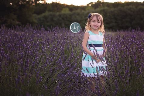 Lavender Farm Family Photography | Madison CT Family Photographer