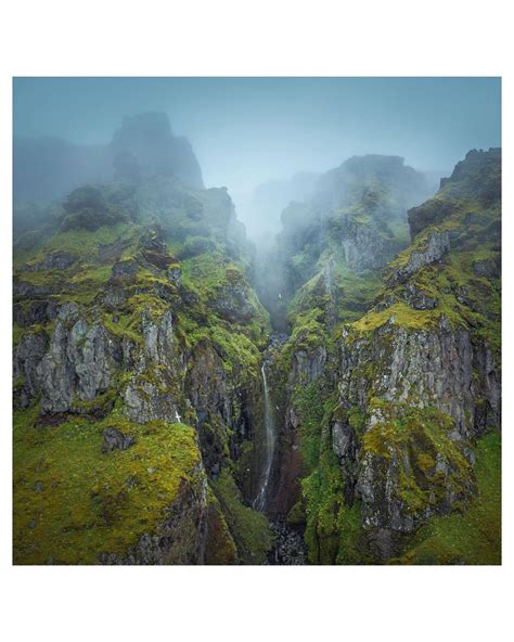 Shainblumphotography Instagram On Pinno Soaring Around The Lush