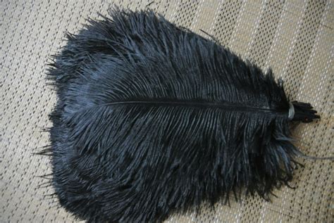 100 Pcs Black Ostrich Feather For Wedding Party Centerpiece Supply