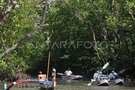 POTENSI HUTAN MANGROVE DI KEDONGANAN BALI ANTARA Foto