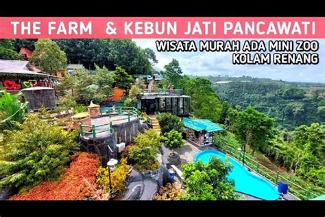 Wisata Murah Dengan Pemandangan Memukau Di The Farm Kebun Jati