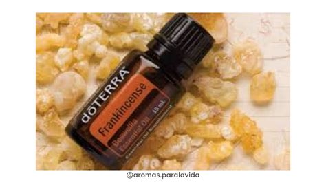 Aceite Esencial De Incienso Frankincense YouTube