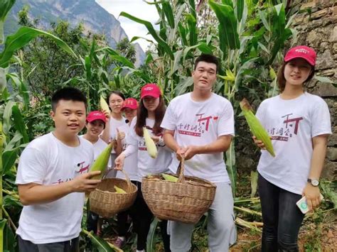 走进田间地头“自找苦吃”，这群z世代大学生在“千村调查”中读懂中国