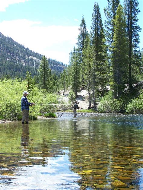 Mammoth Fly Fishing San Joaquin River