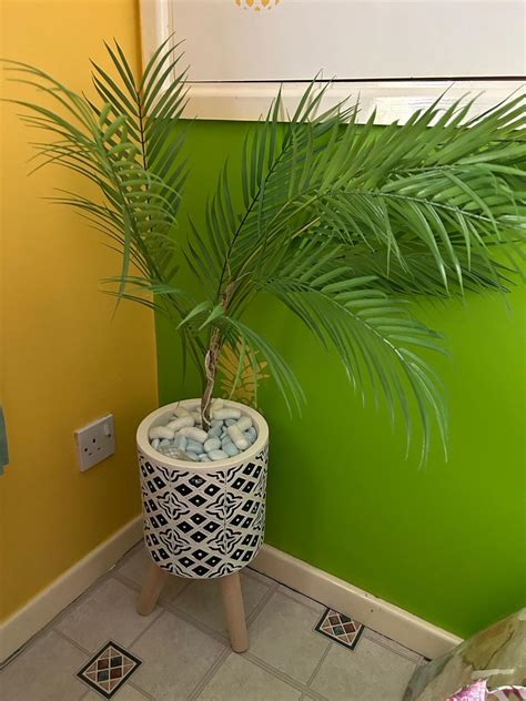 Artificial plant palm tree in decorative pot in B77 Tamworth für 40