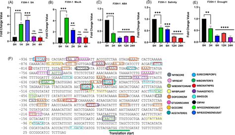 Quantitative RT PCR Analysis And Identification Of Cis Elements