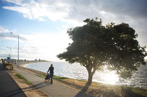 Fresh air fun: The 17 best parks and trails in Seattle