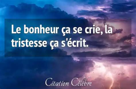 Citation Anonyme Bonheur Le Bonheur A Se Crie La Tristesse A S