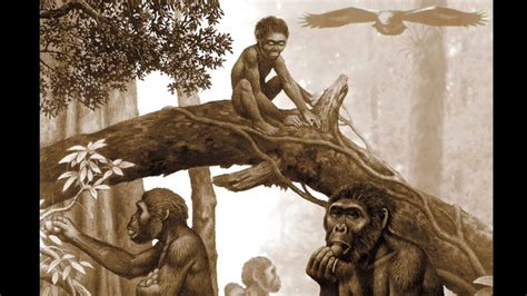 Evolution Vs Bible Africa Blacks And Missing Link S 🤔whites Evolve From