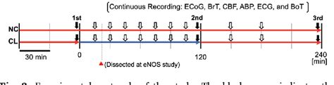 Figure From Focal Brain Cooling Suppresses Spreading Depolarization