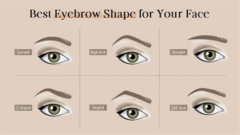 Expert Guide To The Perfect Eyebrow Shape For Your Face Perfect