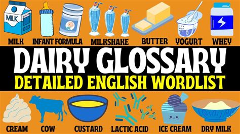 Dairy Products English Glossary Types Of Dairy English Speaking