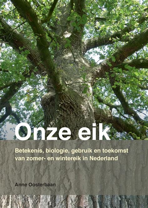 Onze Eik Betekenis Biologie Gebruik En Toekomst Van Zomer En