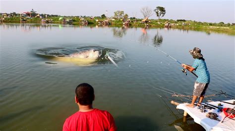 Look At The Monster Katla Fish Catching By A Single Hook Big Fish