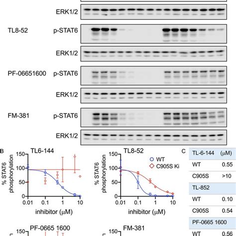 Effect Of Jak3 Inhibitors On Il 4 Induced Stat6 Phosphorylation Bmdms