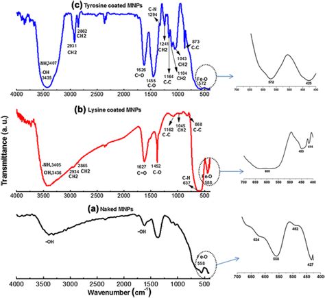 Ir Spectra Of A Naked And B C Amino Acid Coated Fe O Nanoparticles