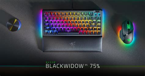 Razer Blackwidow V4 75% Amazon 2024 - Gracie Shirlee