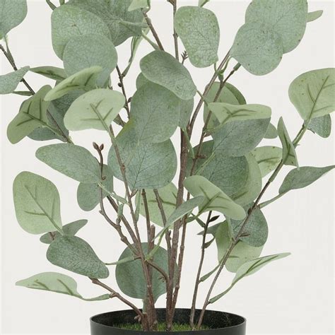 Eucalyptus Artificiel Effet Blanchi 60cm Feuilles Vertes Verdure