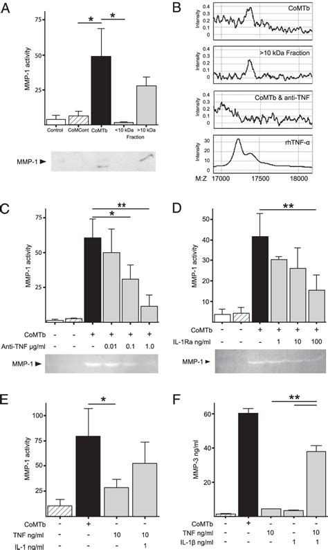 Figure 4 From Mycobacterium Tuberculosis Upregulates Microglial Matrix