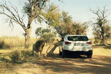 Veja o que acontece quando você não tranca a porta do carro quando tem