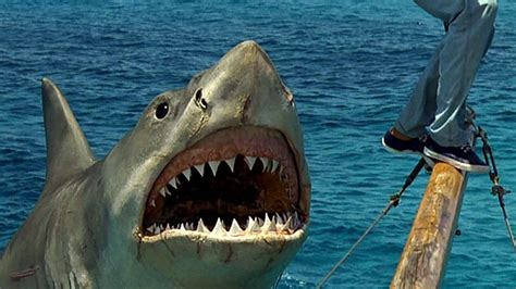 Jaws Star Joins New Shark Movie