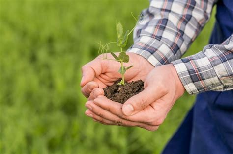 Close Up Homem Segurando A Planta Foto Premium