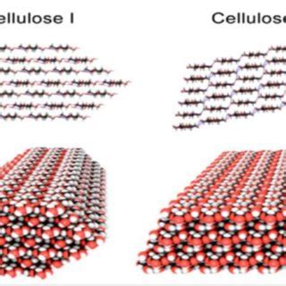 Crystalline Structures Of Cellulose I And Cellulose II Reproduced With