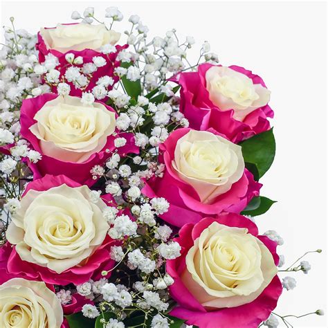 Pink Blush Roses | Haute Florist