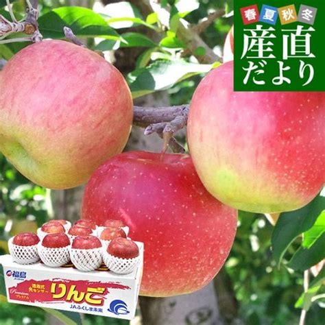 福島県より産地直送 Jaふくしま未来「サンふじりんご」秀品 約28キロ8玉から10玉 送料無料 林檎 リンゴ｜産直だよりの通販・お