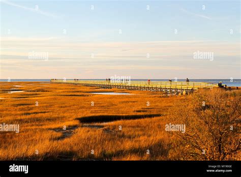 Boardwalk Grays Beach Yarmouth Port Cape Cod Massachusetts United