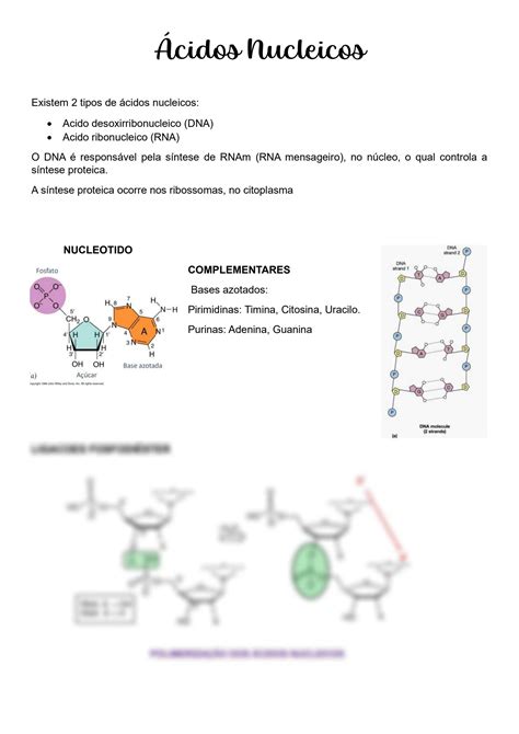 Solution Resumos Dos Cidos Nucleicos Studypool