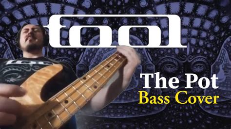 Tool The Pot Bass Cover Struck Notes Slap Technique YouTube