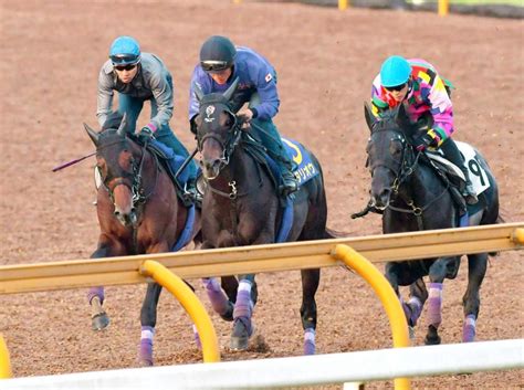 【菊花賞】エタリオウ上昇ムード M・デムーロの手綱で1勝馬初の菊制覇へ！競馬・レースデイリースポーツ Online