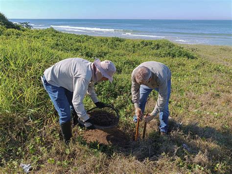 Avaliação de Impacto ao Patrimônio Arqueológico em Barra Velha Espaço