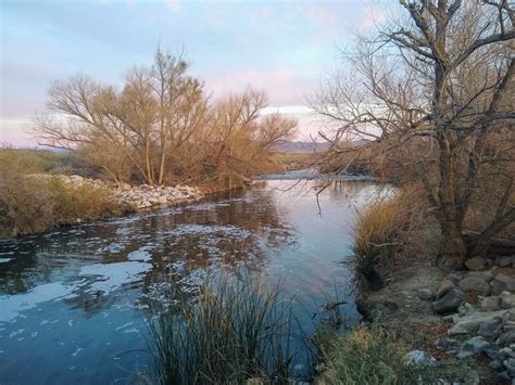 Natural Philosophy: Clark County Wetlands Park. Las Vegas, NV.