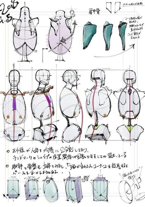 Pin By Toon Dude On Creative Tips References Ideas Human Anatomy