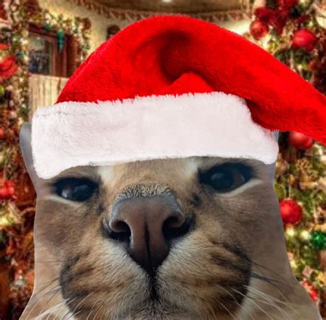 Christmas Pfp Floppa Cat Memes Christmas Memes Dog Memes