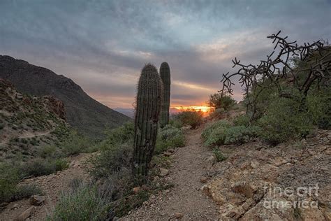 Gates Pass Sunset Trail Photograph by Michael Dawson - Pixels