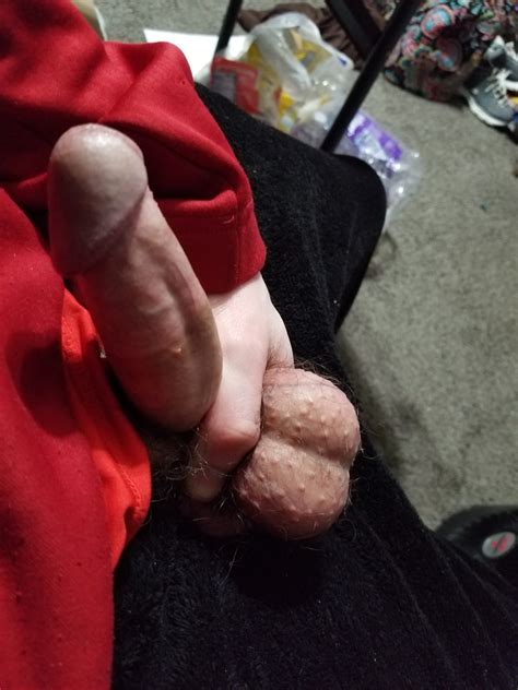 Toy Ass Solo Insertions Photo Album By Omegathad XVIDEOS