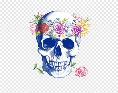 Descarga gratis Calavera cráneo humano simbolismo flor rosa cráneo